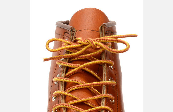 97117 36-INCH TASLAN LACE - TAN/GOLD