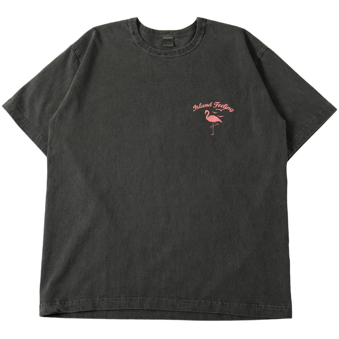 BR-25254 Pigment Dye 16/-BD Tube S/S Print T-shirt (LIMITED ITEM) - CHARCOAL