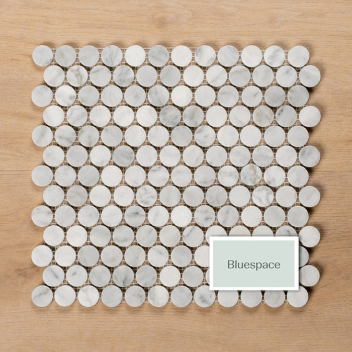 Cottesloe Carrara White Penny Round Honed Marble Mosaic Tile 23x23mm ART003 - The Blue Space