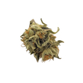 DEMECAN Craft Velvet 30/1 "Velvet Jungle"