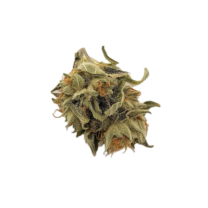 DEMECAN Craft Velvet 30/1 "Velvet Jungle"