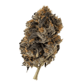 Huala 25/1 KBK "Kebab Kush"