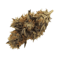 Huala 30/1 BKM "Banana Kush Mints"