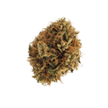 Luana 28/1 "Durban Poison"