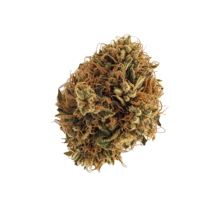 Luana 28/1 "Durban Poison"