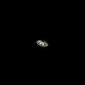 OT-B0062 SHELL CONCHA BEAD