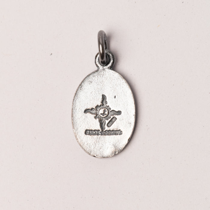 P-501 Thunderbird Metal