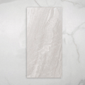 Paradise Grey Gloss Rectified Ceramic Tile 300x600mm online at The Blue Space